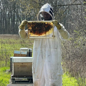 Formation Reconversion professionnelle en apiculture pro/semi pro