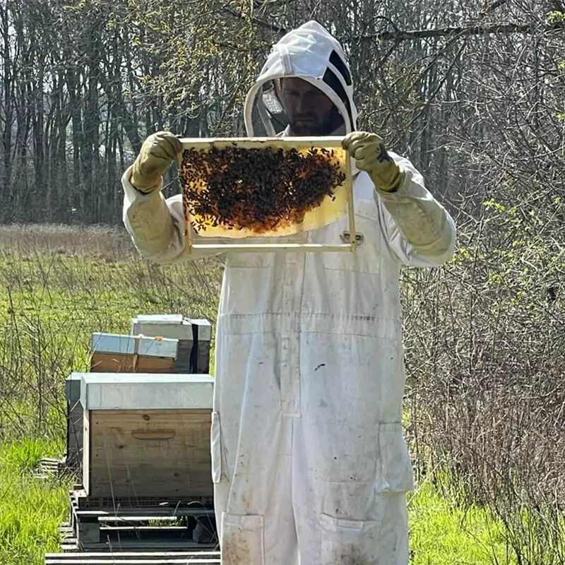 Formation Reconversion professionnelle en apiculture pro/semi pro