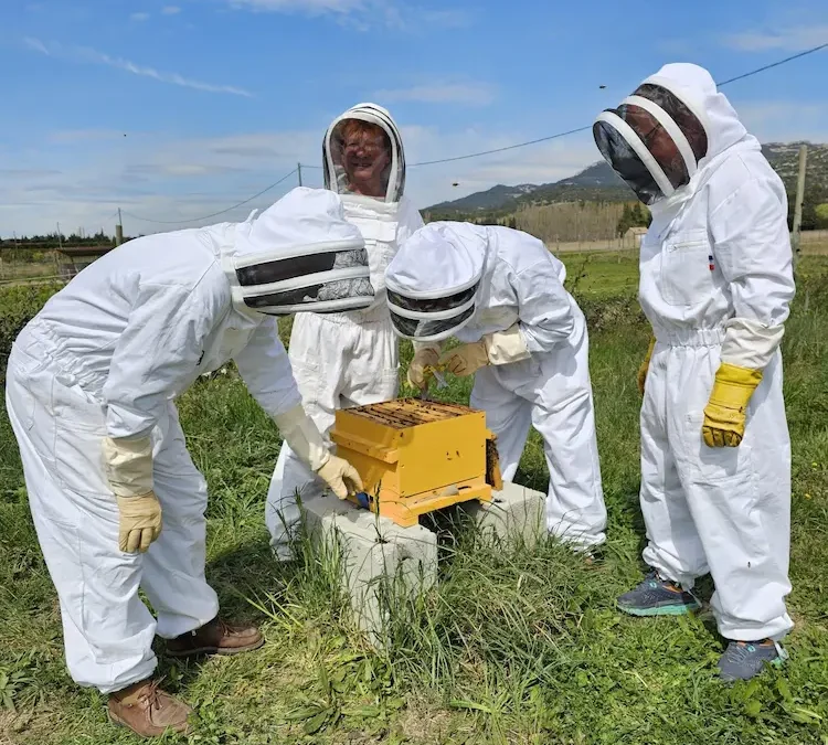 C&rsquo;est quoi, l&rsquo;apiculture durable ?